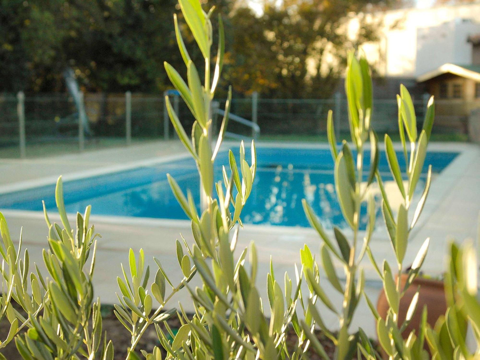 Ibis Salon De Provence Hotel Exterior photo